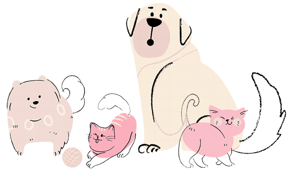 dog and cat cartoon illustrations